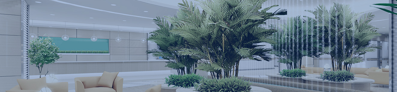 �������Ʒ